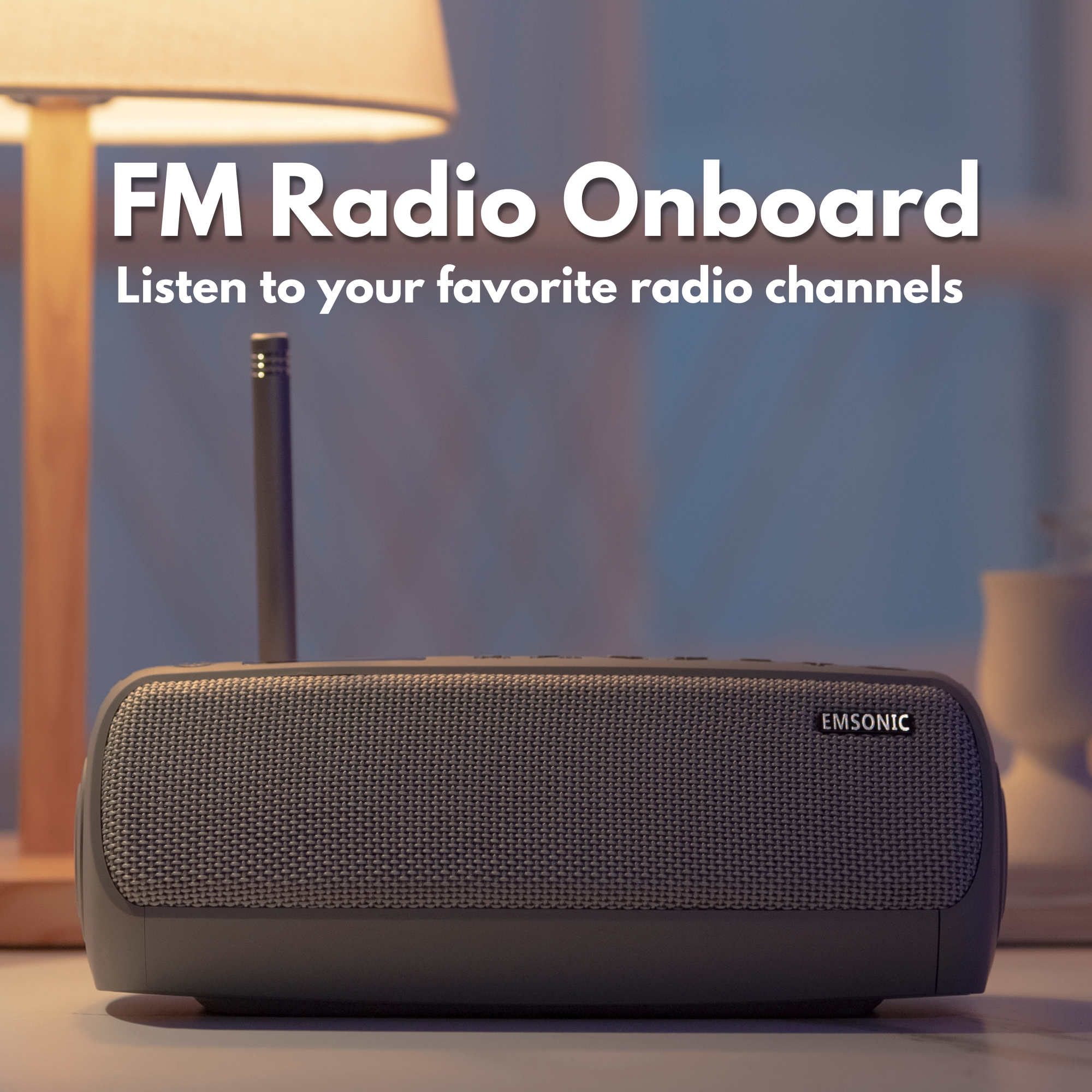 Saver Speaker w/ CO Detector & FM Radio-4